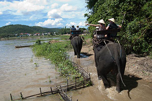 Ballade à dos d'éléphant au Vietnam