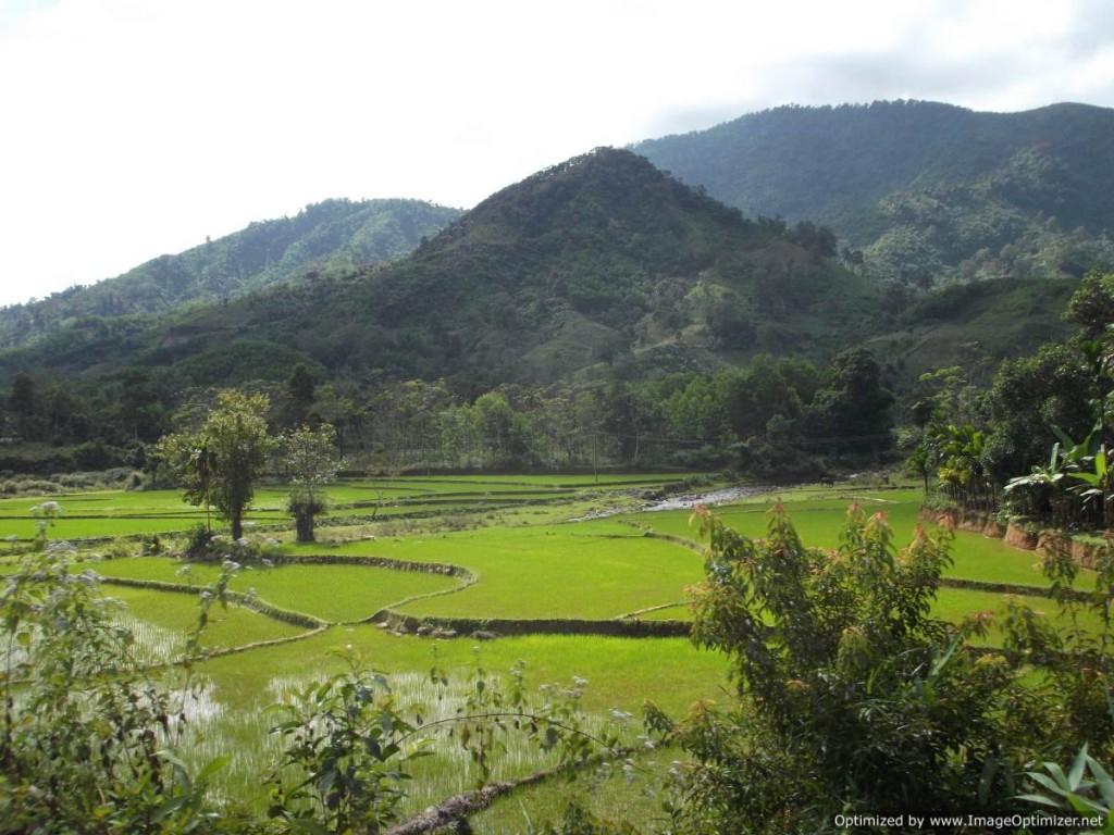 paysage vietnam