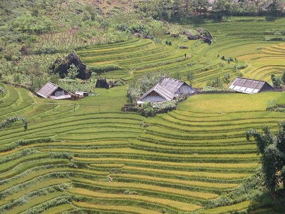 randonnée au Vietnam