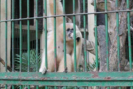 Le zoo et jardin botanique de Saigon