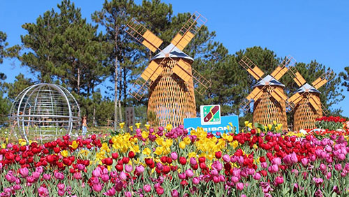 festival fleurs